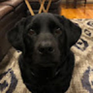 Meet your Posher, Maggi